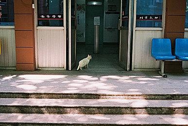 提前3天开玩育碧发布《碧海黑帆》高级版宣传片